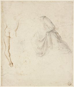 Recto : Vue de dos d